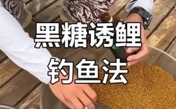 冬天黑坑如何高效钓鲤鱼？