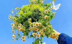 手机创意背景图