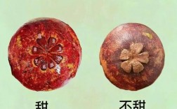 摘水果有哪些实用技巧？