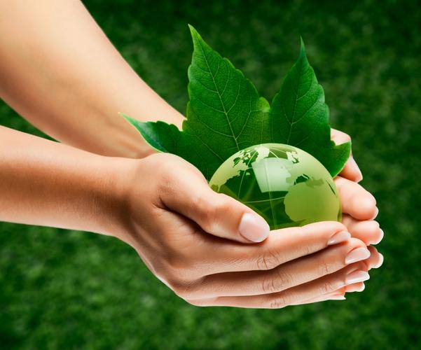 创意生态有-图1 创意生态有-图1