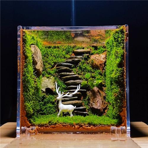 创意生态有-图2