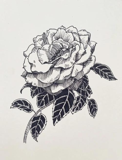 花创意线描-图1