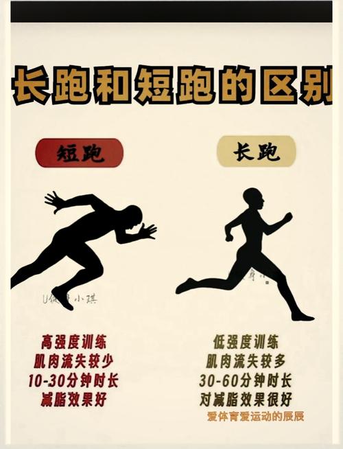 4000米长跑如何分配体力与提速？-图1