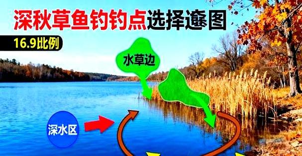 寒露野钓，这些技巧能助你爆护吗？-图1