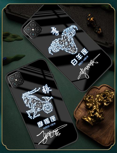 手机壳创意名称-图2