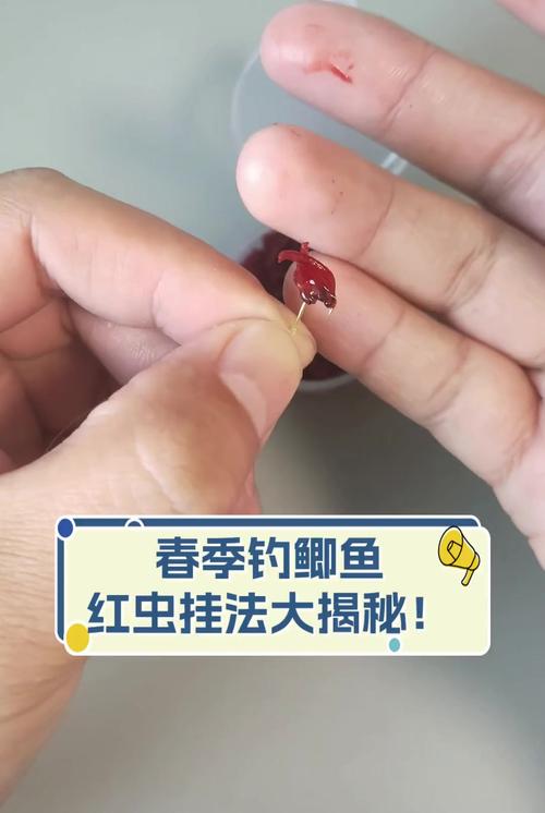 红虫钓鲫鱼，关键技巧有哪些？-图1