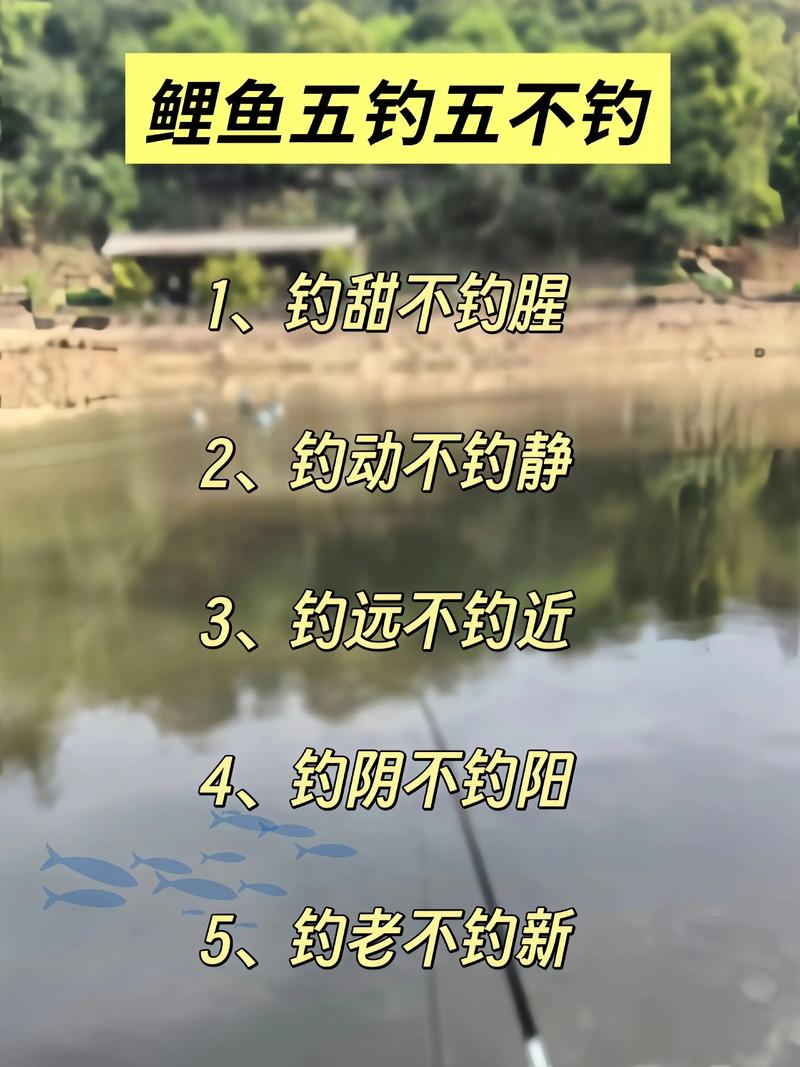 秋末钓鲤鱼技巧-图1 秋末钓鲤鱼技巧-图1