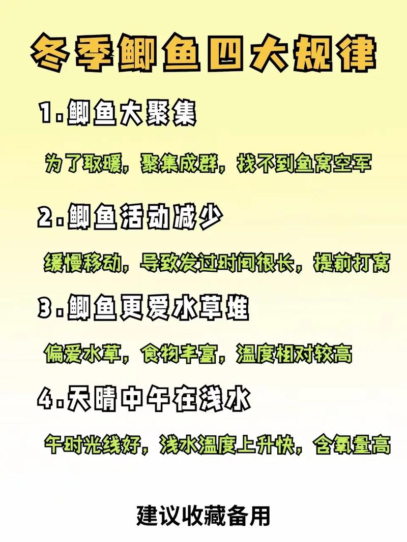 冬钓鲫鱼，八点技巧关键在哪？-图2