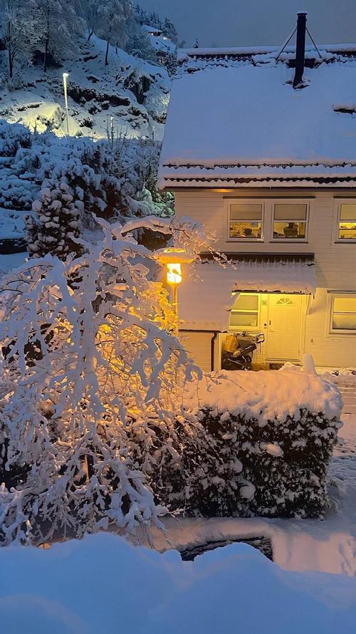 雪天创意摄影-图3