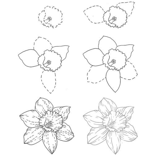 花卉临摹技巧-图1 花卉临摹技巧-图1