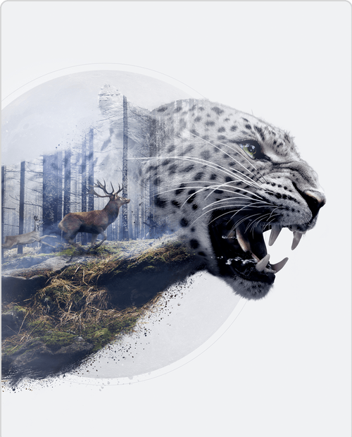 创意招贴广告-图2