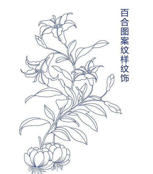 百合花图形创意设计有哪些独特巧思？-图1