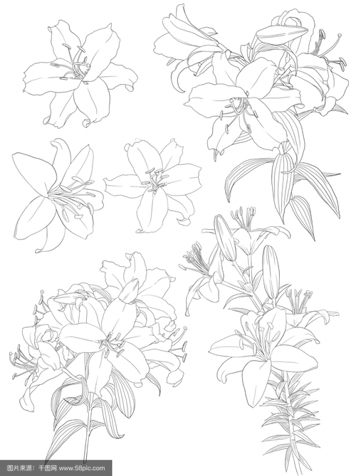 百合花图形创意设计有哪些独特巧思？-图3
