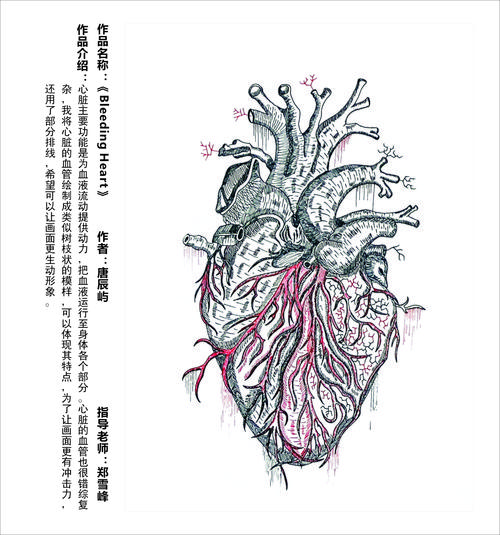 医学创意如何突破传统诊疗边界？-图1