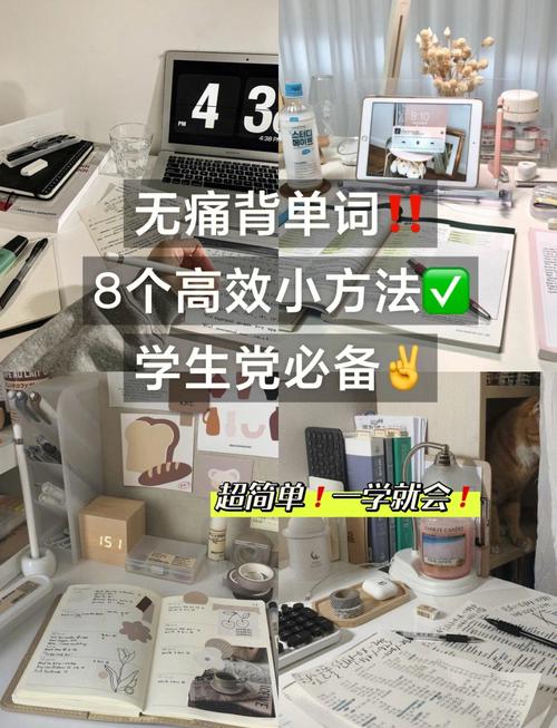 三年级背单词技巧-图3