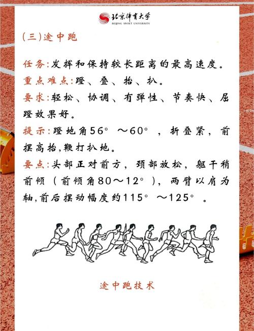 800米跑步如何提速省力？-图3