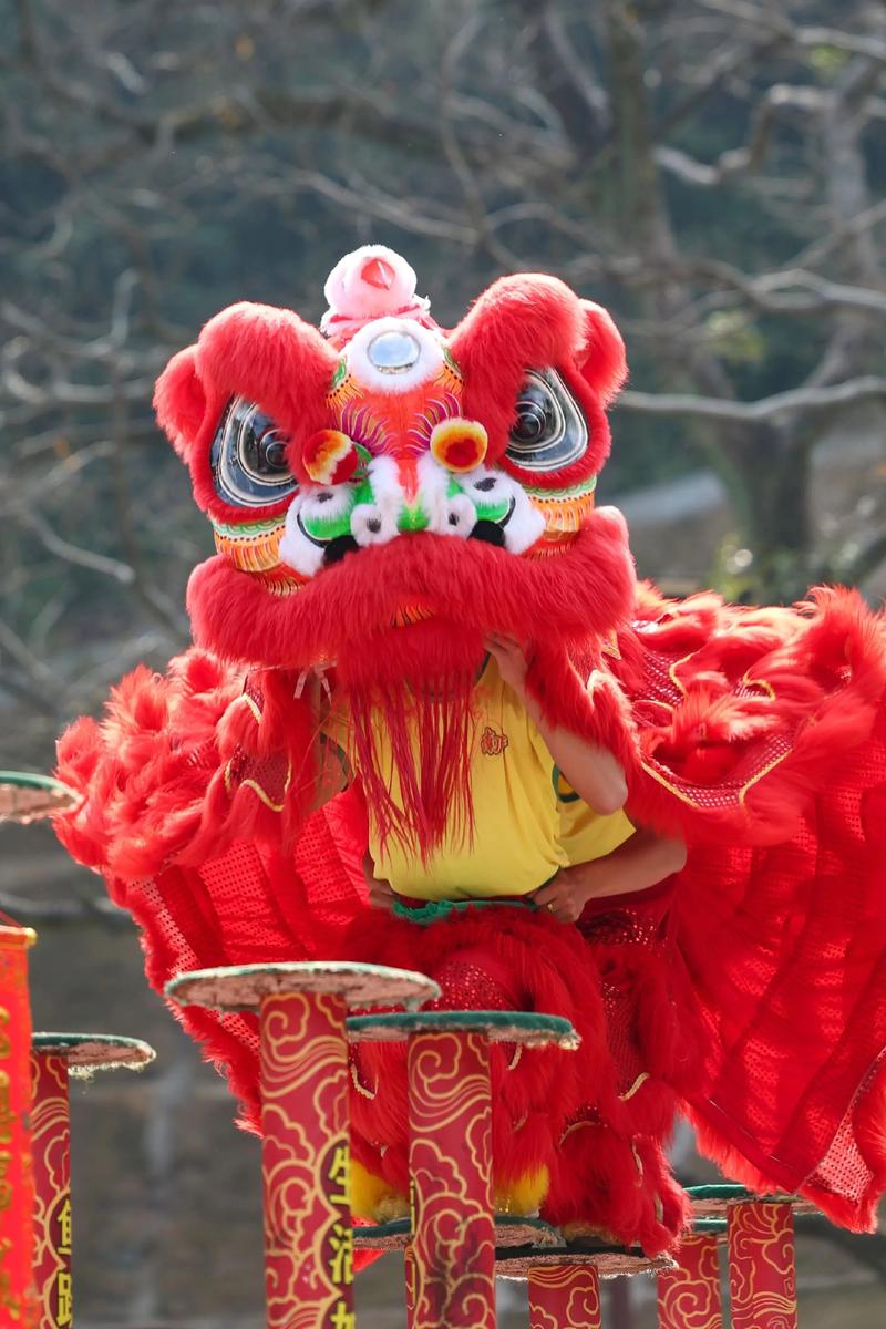 午舞狮摄影技巧-图2