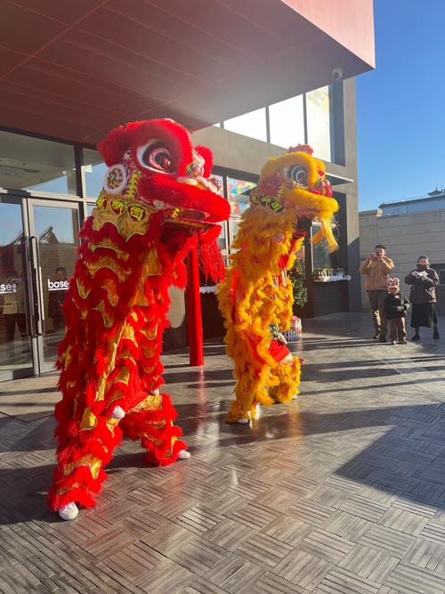 午舞狮摄影技巧-图1