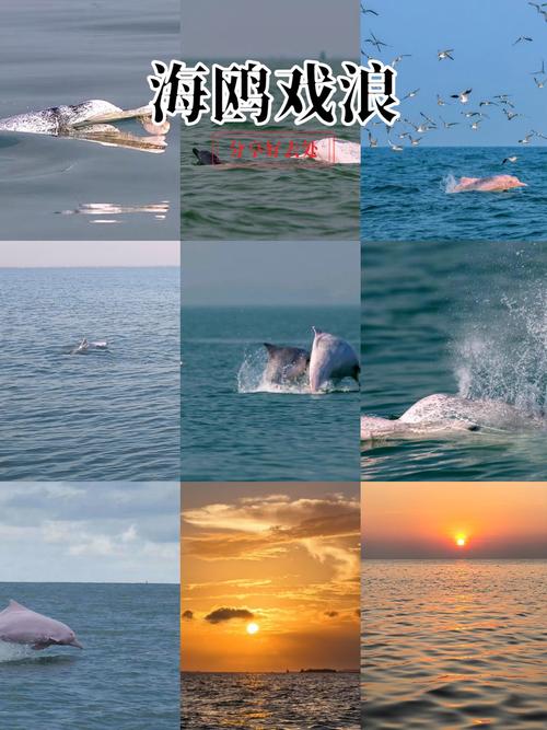 三娘湾技巧有哪些？新手必看攻略？-图3