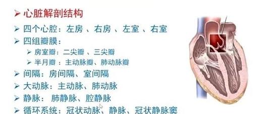 学彩超技巧，学彩超如何入门-图1