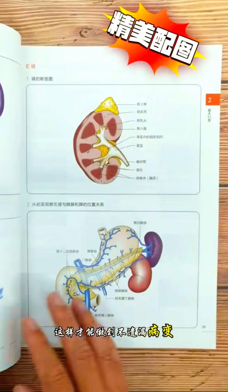 学彩超技巧，学彩超如何入门-图2