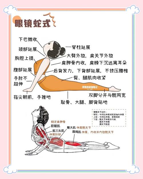 学蛇板技巧，怎么学蛇板-图3