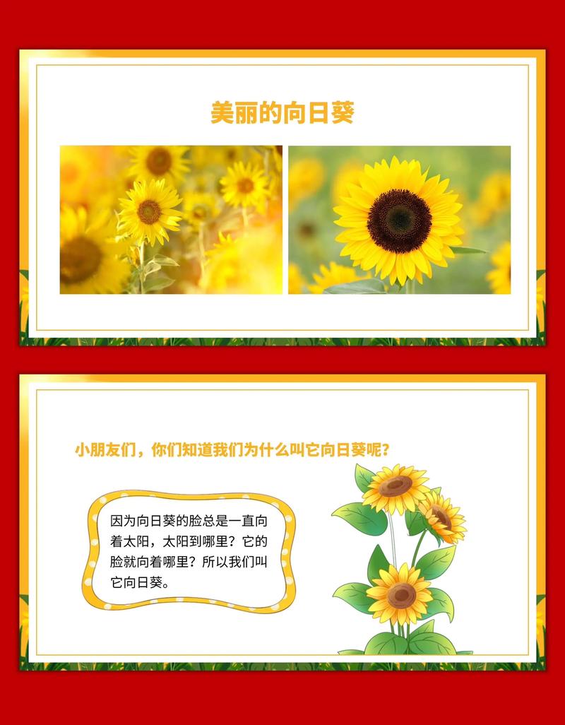 儿童创意美术课视频，儿童创意美术教程课件-图1