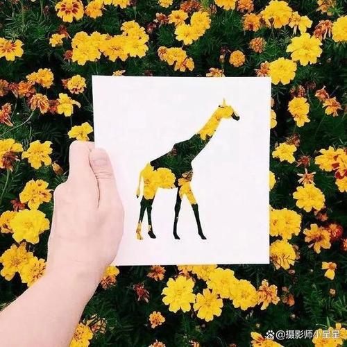 纸张创意拍摄,纸张创意拍摄技巧-图2 纸张创意拍摄,纸张创意拍摄技巧-图2