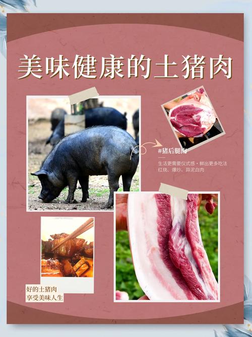 创意猪肉广告，创意猪肉广告牌-图1