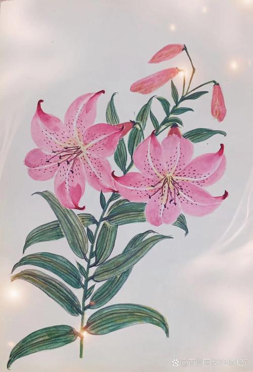 百合花图形创意设计,百合花图形创意设计图片-图2 百合花图形创意设计,百合花图形创意设计图片-图2