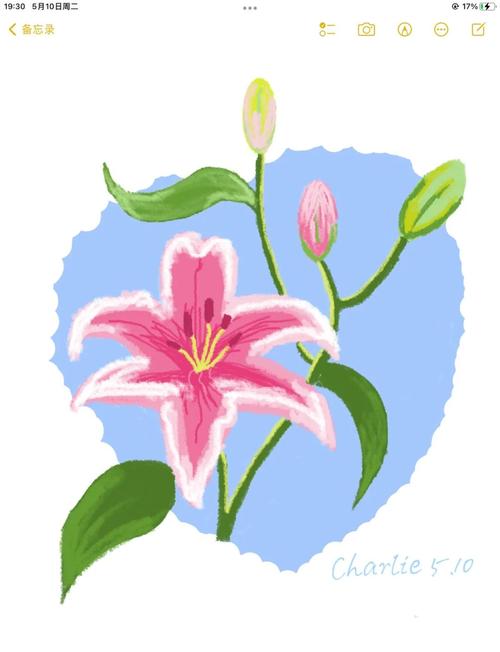 百合花图形创意设计,百合花图形创意设计图片-图3 百合花图形创意设计,百合花图形创意设计图片-图3