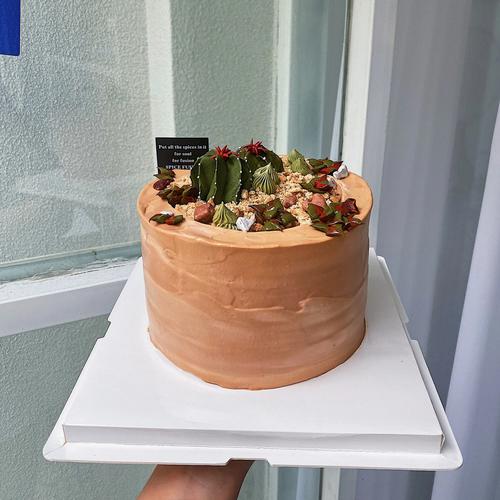 盆栽创意蛋糕-图2