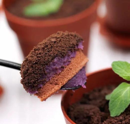 盆栽创意蛋糕-图3