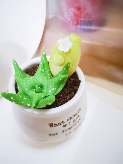 盆栽创意蛋糕-图1