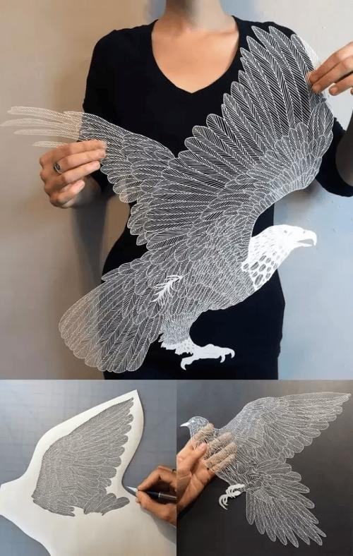 白纸的创意-图1