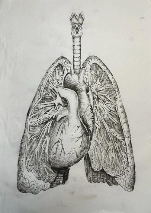 医学创意，医学创意绘画大赛一等奖作品-图2