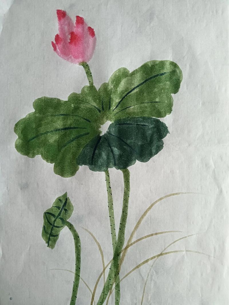 画荷叶技巧-图3