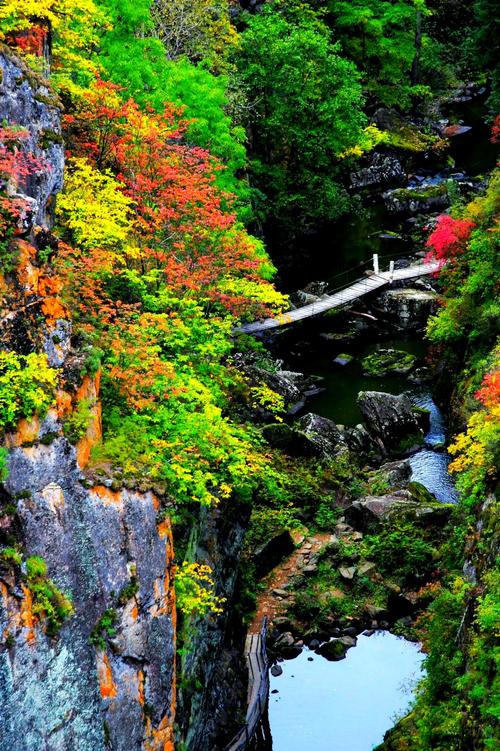 五花山朗读技巧，五花山朗读技巧视频-图2