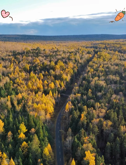 五花山朗读技巧，五花山朗读技巧视频-图1