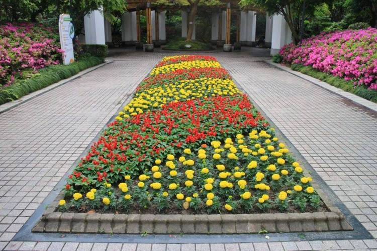 创意花坛效果图-图1