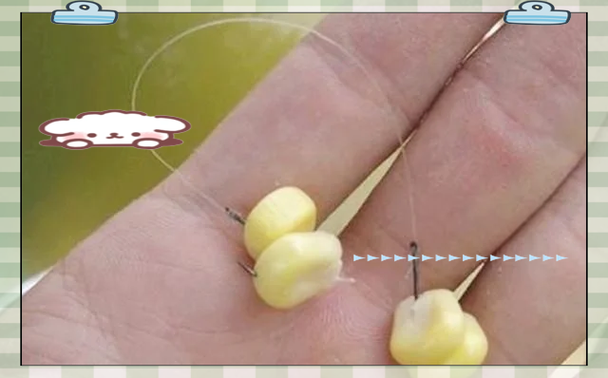 颗粒钓草鱼技巧-图1