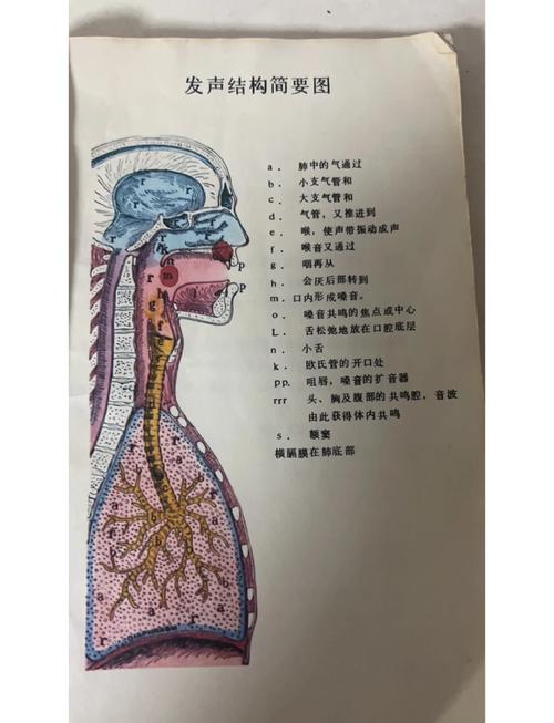美声演唱技巧的核心要点是什么？-图3