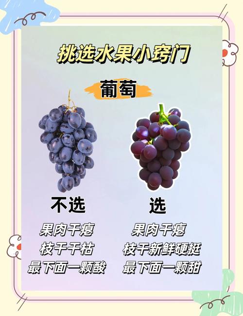 卖水果如何用语言技巧提升销量?-图3 卖水果如何用语言技巧提升销量?-图3