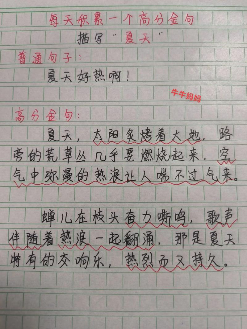 描写夏天作文技巧，描写夏天作文技巧的句子-图1