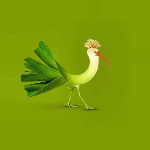 有意思的创意，非常有创意-图1