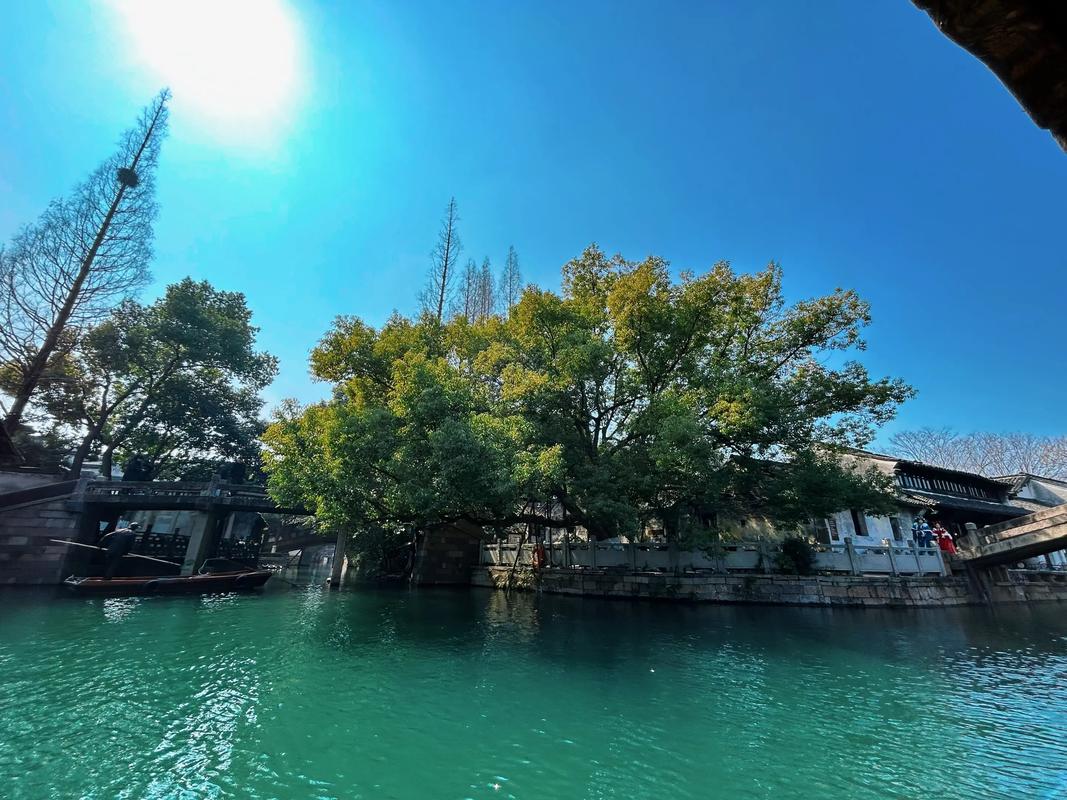 创意乌镇，如何点亮传统与未来的碰撞？-图2