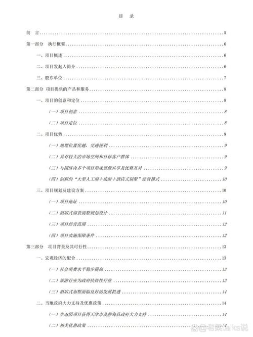 创意项目计划书，创意项目计划书模板-图2