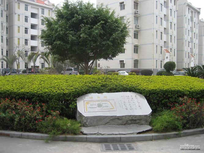 瑞景创意网-图3