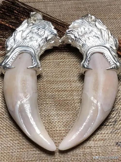 狼牙创意图，灵感从何而来？-图3