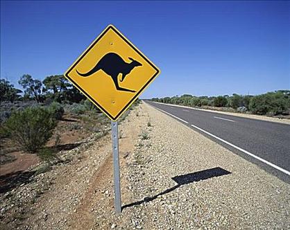 创意澳大利亚,创意从何而来?-图3 创意澳大利亚,创意从何而来?-图3